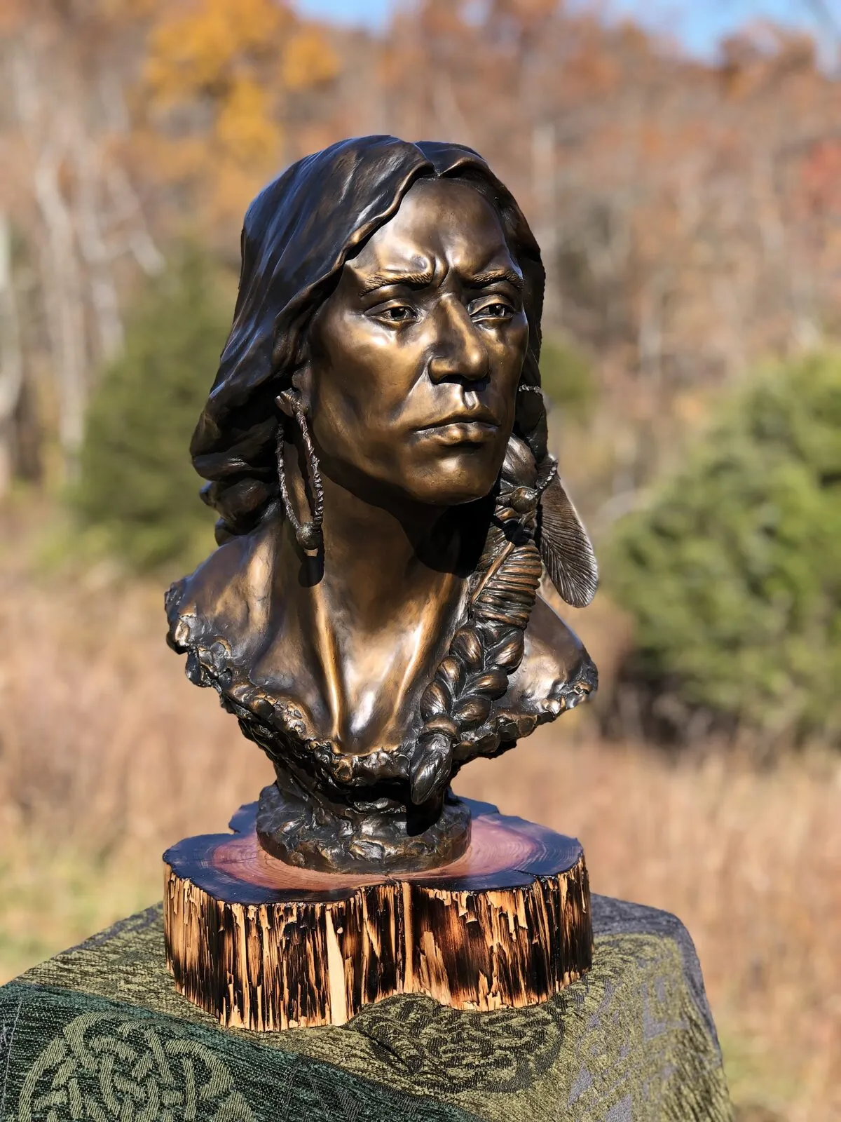 Bronze portrait bust displayed outdoors on a cedar base