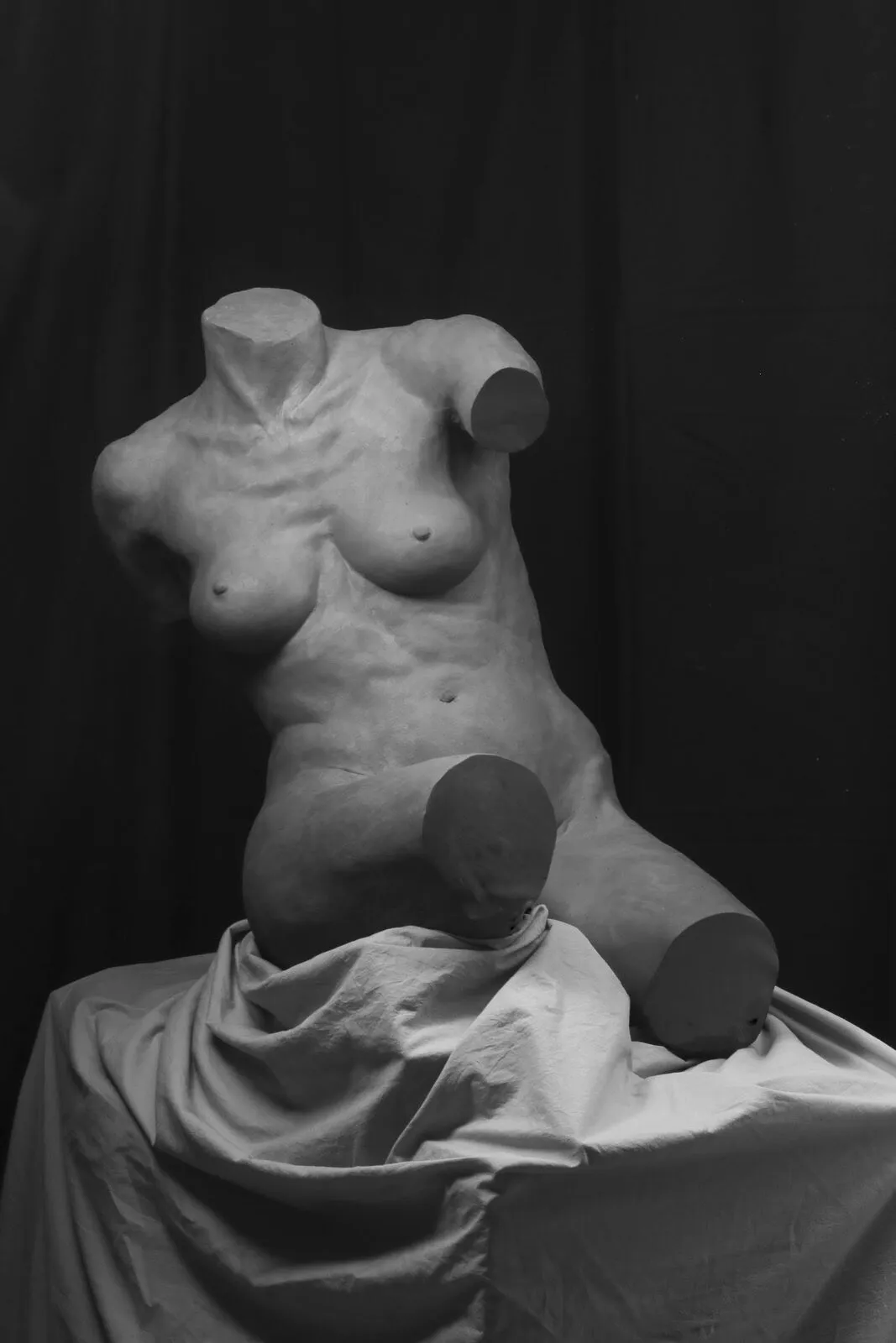 Classical figure study of a torso